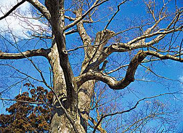 亡魂协同与精准博弈，动作肉鸽独游《冥界契约》亮相新品节